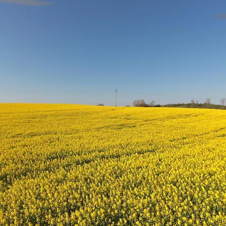 דירה Schleiblick App 3 Rabenkirchen-Faulück